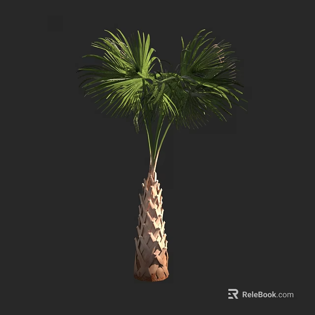 Palm Tree With Textured Trunk And Green Fronds In Natural Growth 3d model 