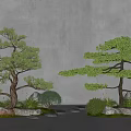Two Lush Ornamental Trees With Stones and Small Shrubs Against Gray Wall