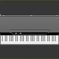 Modern Electronic Keyboard With Silver Body Pedal And Stand For Home Use
