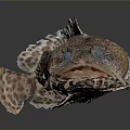 Spotted Marine Fish With Blue Eyes And Distinctive Pattern On Dark Surface 3d model