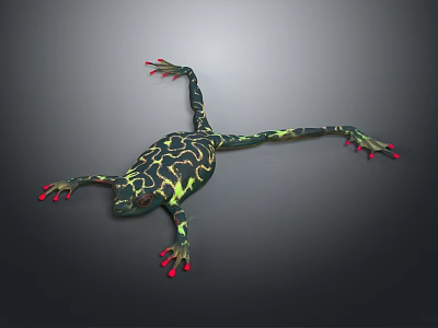 Colorful Reptile With Green Black Patterns And Red Toes On Dark Background 3d model
