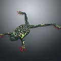 Frog Poison Frog Game Frog Reptile Cold Blooded Animal Reptile 3d model