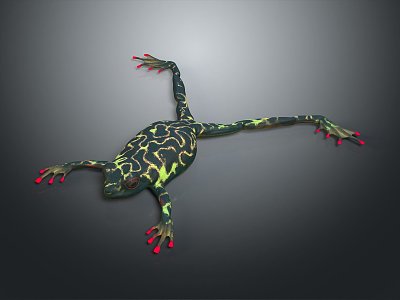 Frog Poison Frog Game Frog Reptile Cold Blooded Animal Reptile 3d model