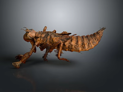 Detailed Brown Insect Larva With Segmented Body And Multiple Legs Isolated On Gray Background 3d model
