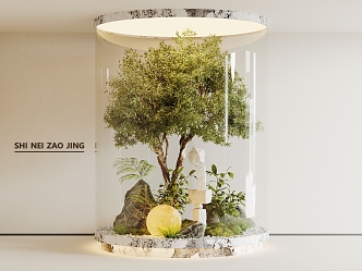 Modern indoor landscaping courtyard sketch landscape tree stone moon decorative lamp plant combination 3d model