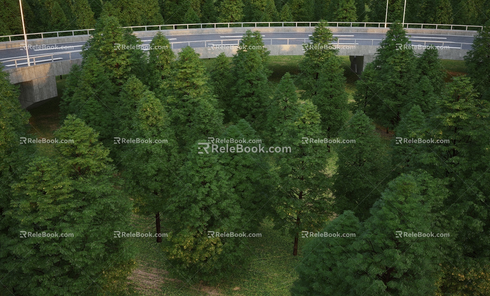 Modern Tree Metasequoia Group Tree Bird's Eye View Tree 3d model