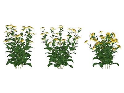 Vibrant Yellow Blooming Flowers with Green Leaves and Stems on White Background 3d model