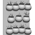 Wall Mounted Black And White Striped Potted Green Plants For Home Decor
