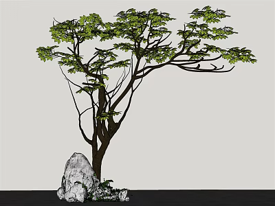 Arbor With Lush Green Foliage And Large Rock In Natural Landscape 3d model