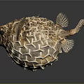 Detailed Inflated Spotted Puffer Fish With Sharp Spines On Dark Background