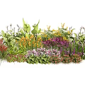 Colorful Garden Flowers And Various Plants With Lush Greenery And Mixed Blooms