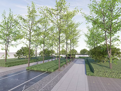 Park Landscape With Lush Green Trees Paved Walkway and Neat Green Belts Under Clear Sky 3d model