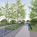 Park Landscape With Lush Green Trees Paved Walkway and Neat Green Belts Under Clear Sky