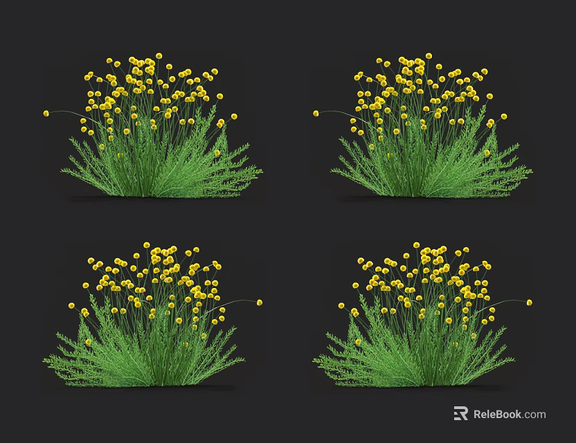 Four Clusters of Yellow Flowers with Green Leaves Grass Plants on Black Background 3d model 