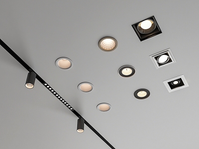 Downlight Spotlight model