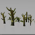 Various Form Cactus and Succulent Plants 3D Rendered Display with Different Shapes on Gray Surface