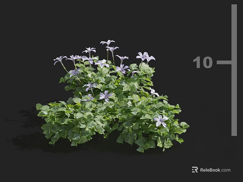 Lush Green Leaf Cluster With Vibrant Purple Flowers In Bloom 3d model