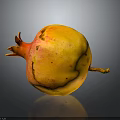 Yellow and Red Pomegranate with Speckled Skin on Dark Background with Reflection