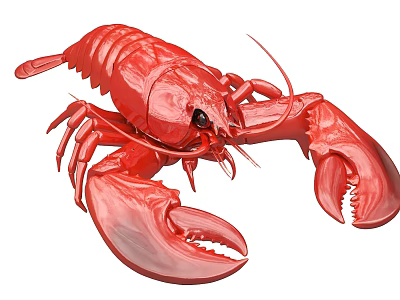 Red Lobster Aquatic Animal With Large Claws And Detailed Body Structure 3d model
