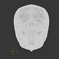 Anatomical Human Skull Model in White Color Isolated on Black Background 3d model