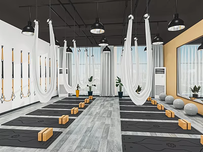 Indoor Fitness Studio With Yoga Mats Exercise Balls Suspension Straps And Hammocks 3d model