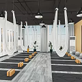 Indoor Fitness Studio With Yoga Mats Exercise Balls Suspension Straps And Hammocks