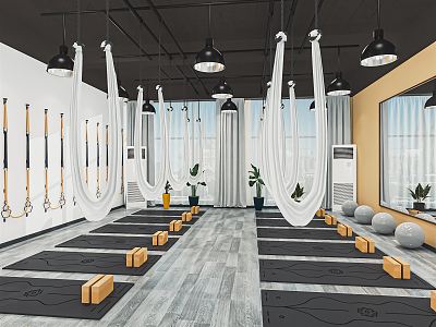 Modern Yoga Studio Yoga Studio Fitness Room Exercise Room Gym Pilates Exercise Room Yoga Mat Hanging Rope 3d model