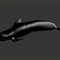 whale cartoon whale mammal marine mammal marine animal fish freshwater fish marine fish 3d model