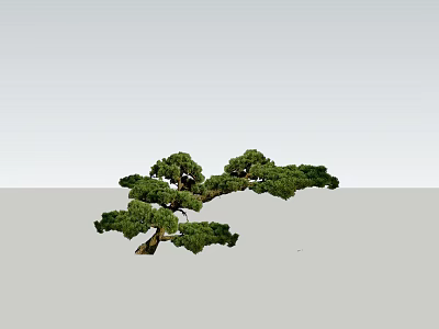 Lush Green Arbor With Elegant Branches And Dense Foliage In Natural Scene 3d model
