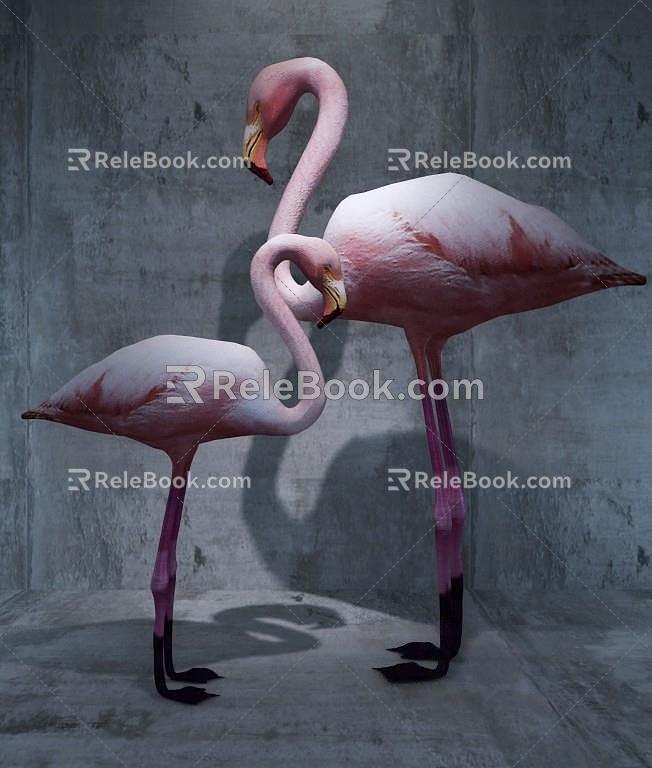 Flamingo 3d model