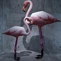 Flamingo 3d model