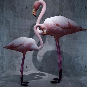 Flamingo 3d model