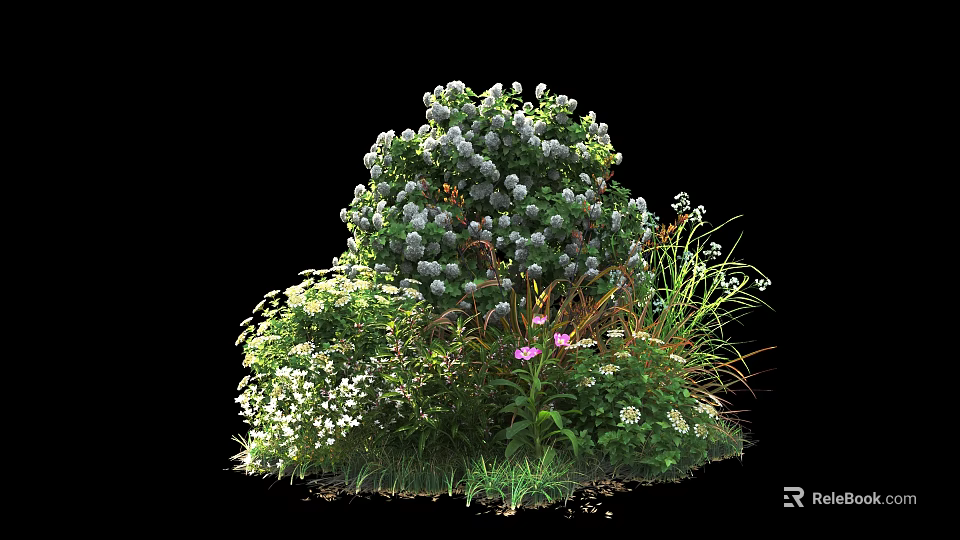 Vibrant Garden Shrub With White Flowers Pink Blooms And Green Foliage 3d model 