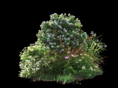 Vibrant Garden Shrub With White Flowers Pink Blooms And Green Foliage 3d model