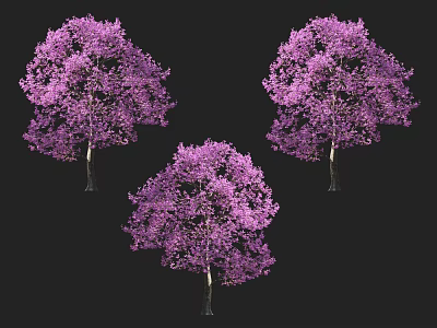 Three Vibrant Purple Flowering Trees With Lush Canopy On Black Background 3d model