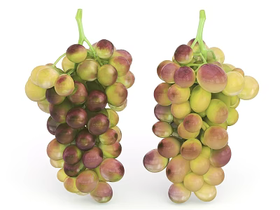 Fresh Green and Purple Grapes Two Bunches with Ripe Juicy Berries 3d model