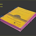 Yellow Ring Binder with Woods Crown Court of Law and Colored Tabs