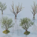 Different arbor tree varieties showcasing varied branch structures and green leafy canopies 3d model