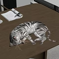 Sleeping Tabby Cat On Wooden Table With Coffee Cup And Newspaper