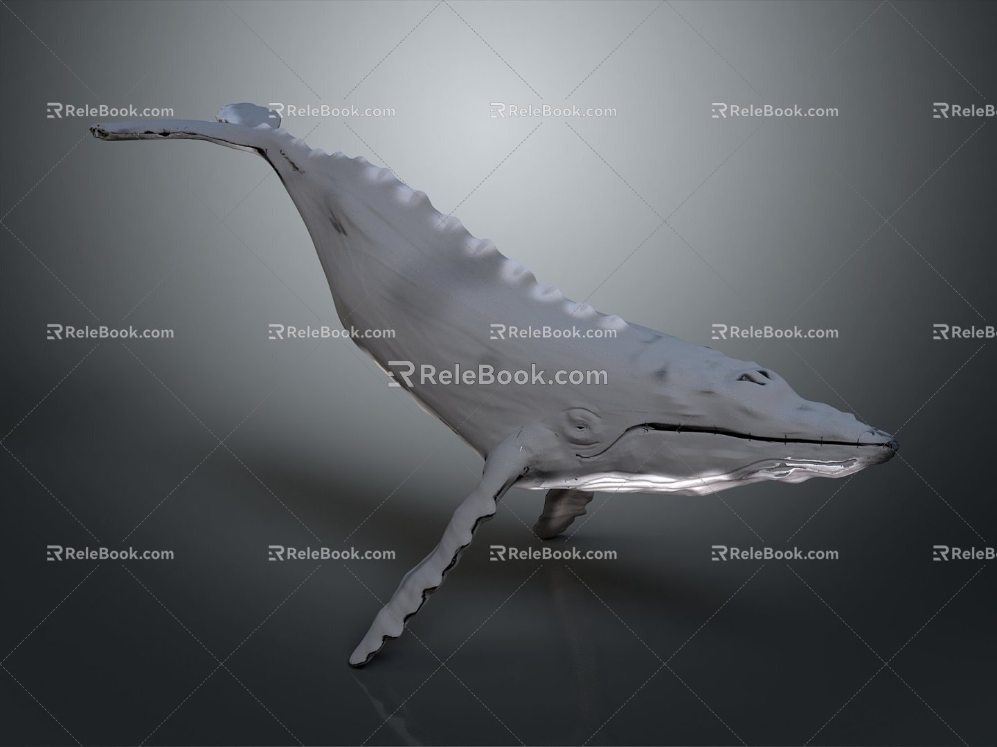 Modern shark great white shark whale shark hammerhead shark 3d model