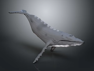 Silver Whale Model In Leaping Pose With Fins And Tail On Gray Background 3D Rendered 3d model