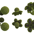 Topiary Bushes With Round And Flower Shaped Designs As Decorative Garden Elements