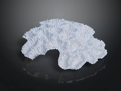 Intricate White Coral Structure On Black Background With Subtle Reflection 3d model