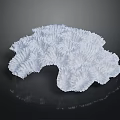 Intricate White Coral Structure On Black Background With Subtle Reflection 3d model