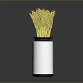 White Vase With Black Rim Holding Yellow Wheat Ears On Dark Background