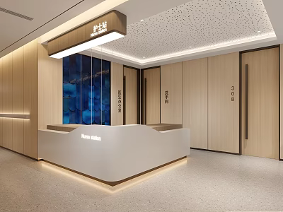 Modern Hospital Outpatient Clinic Interior Design With Wooden Walls And Front Reception Desk 3d model