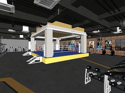 Fitness Gym Interior With Boxing Ring Workout Equipment Brick Wall And Ceiling Lights 3d model