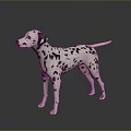 Dalmatian Dog With Black And White Spots Standing On Reflective Dark Surface