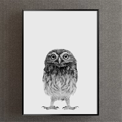 Black and White Owl Animal Painting with Detailed Feathers and Expressive Eyes 3d model