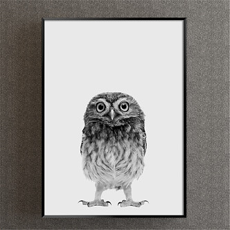 Modern animal painting gray study animal owl decorative painting 3d model